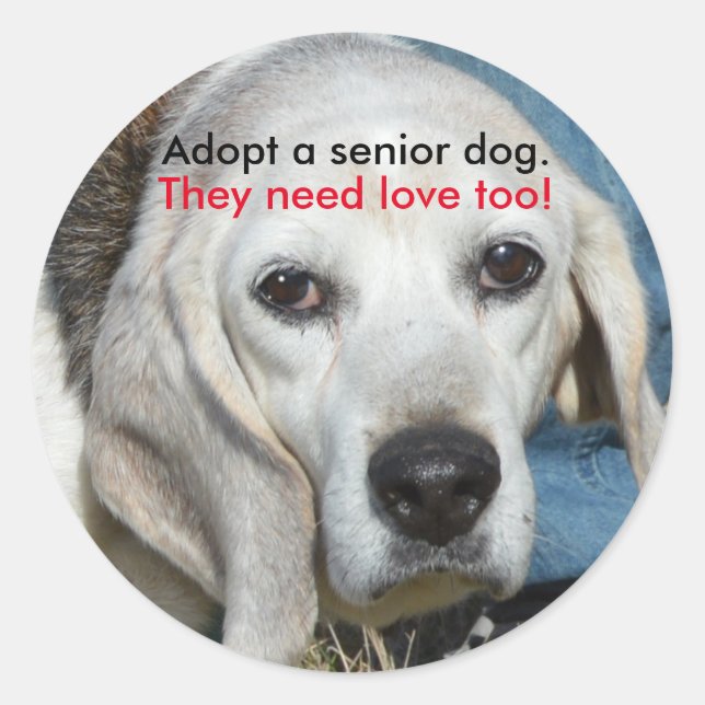 Adoptier einen Seniorenhund. Sie brauchen auch Lie Runder Aufkleber (Vorderseite)