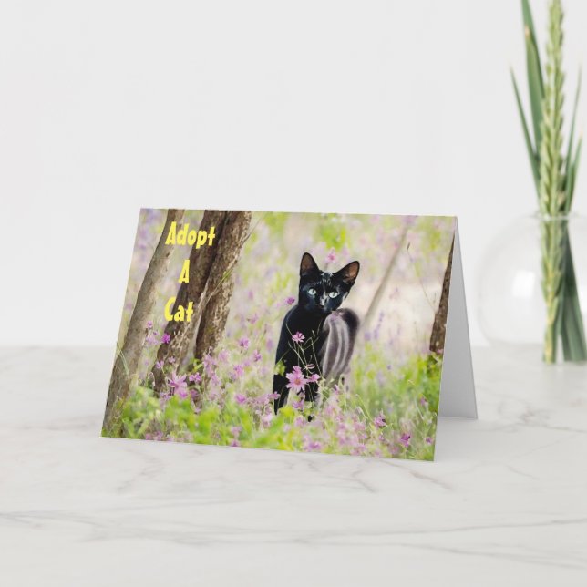 Adoptier einer PSA-Karte für die Tierhütte Karte (Vorderseite)