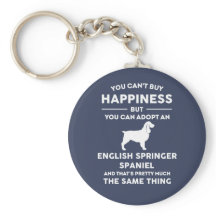 Adoptier eines englischen Springer Spaniel Glück