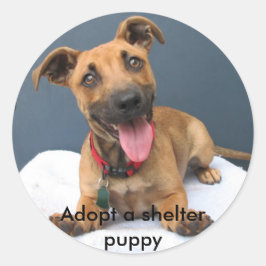 Adoptier eines Hundewelpen 023 Runder Aufkleber