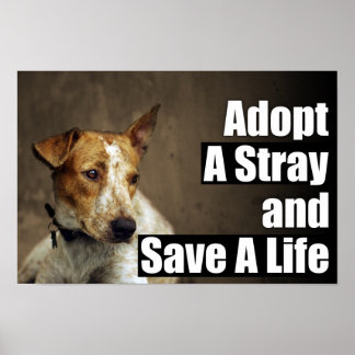Adoptier eines Strohplakats Poster