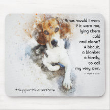 Adoptier eines Unterschlupf - Beagle