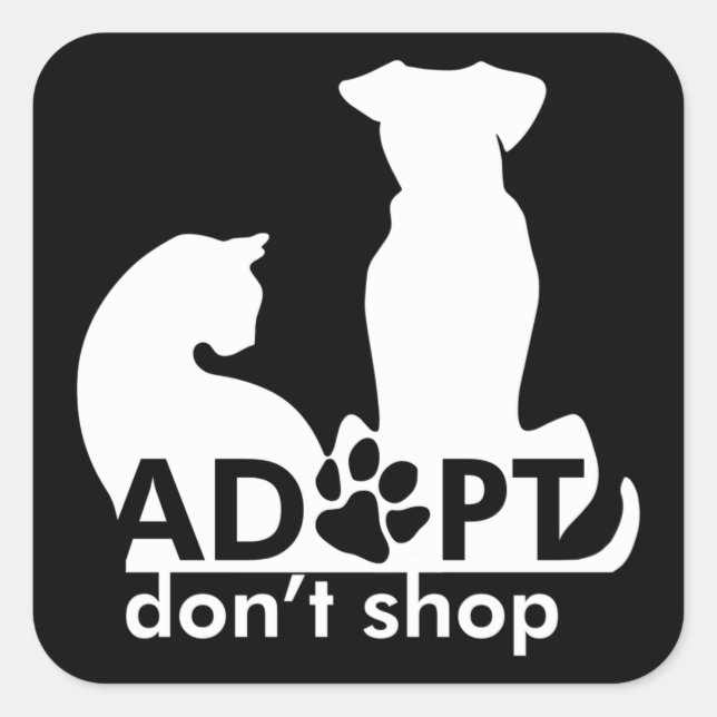 Adoptier nicht kaufen Dog Cat White Quadratischer Aufkleber (Vorderseite)