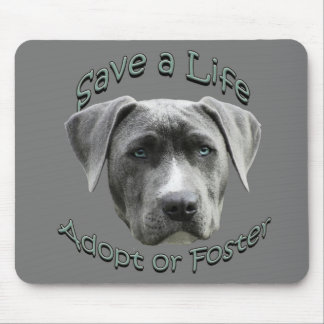 Adoptier oder Foster ein Hund, der große Hunde bra Mousepad
