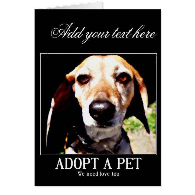 Adoptier, wir brauchen auch Liebe_ (Vorne)