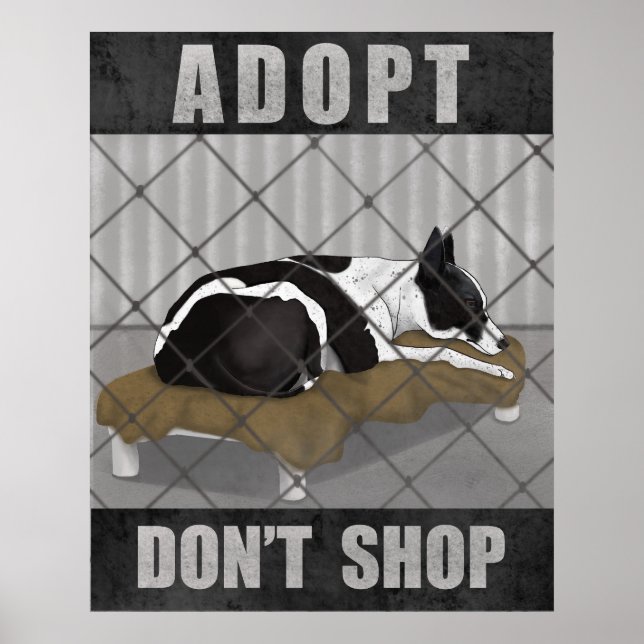 Adoptiere statt zu kaufen poster (Vorne)