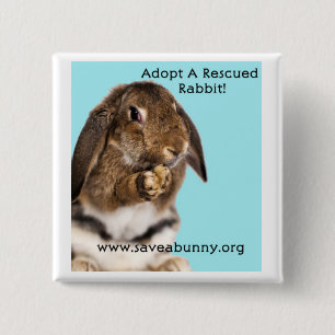 Adoptieren Sie ein gerettetes Kaninchen! Button