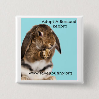 Adoptieren Sie ein gerettetes Kaninchen! Button
