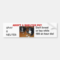ADOPTIEREN Sie EIN SCHUTZ-HAUSTIER, spay Neutrum