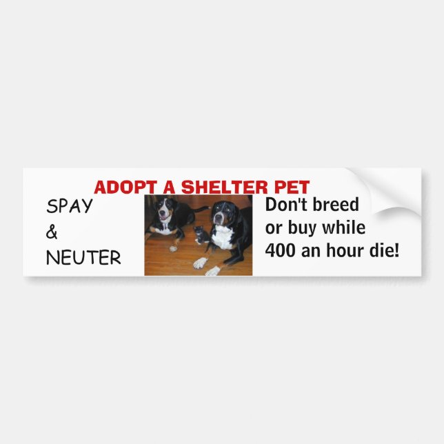 ADOPTIEREN Sie EIN SCHUTZ-HAUSTIER, spay Neutrum Autoaufkleber (Vorne)