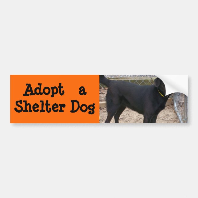 Adoptieren Sie einen HundeAutoaufkleber Autoaufkleber (Vorne)