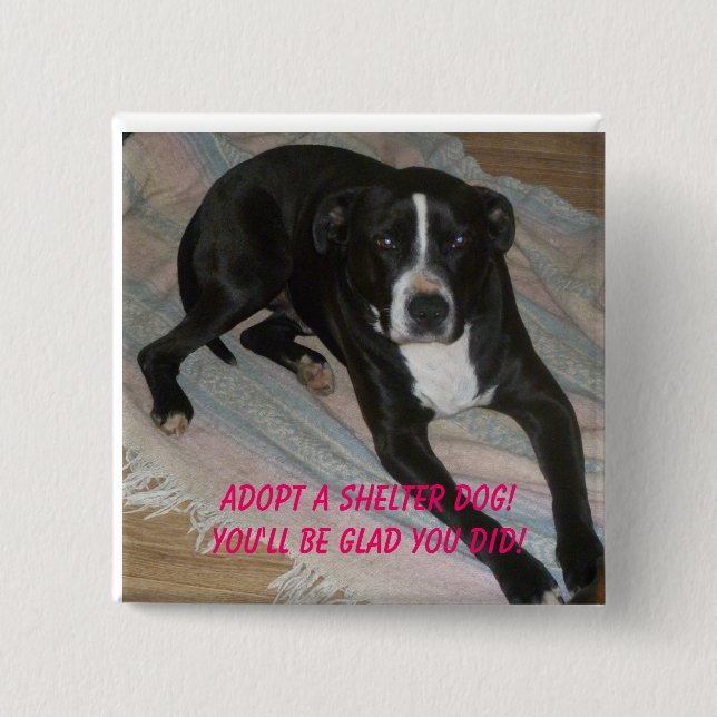 Adoptieren Sie einen Schutz-Hund heute! Button (Vorderseite)