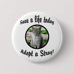 Adoptieren Sie einen Streuknopf Button