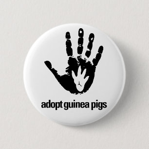 Adoptieren Sie Meerschweinchen-Knopf - Button