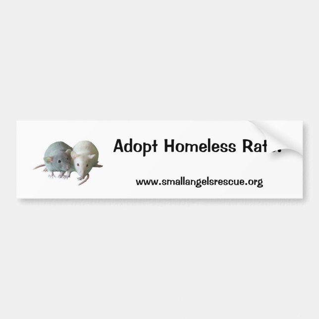 Adoptieren Sie obdachlose Ratten! Autoaufkleber (Vorne)