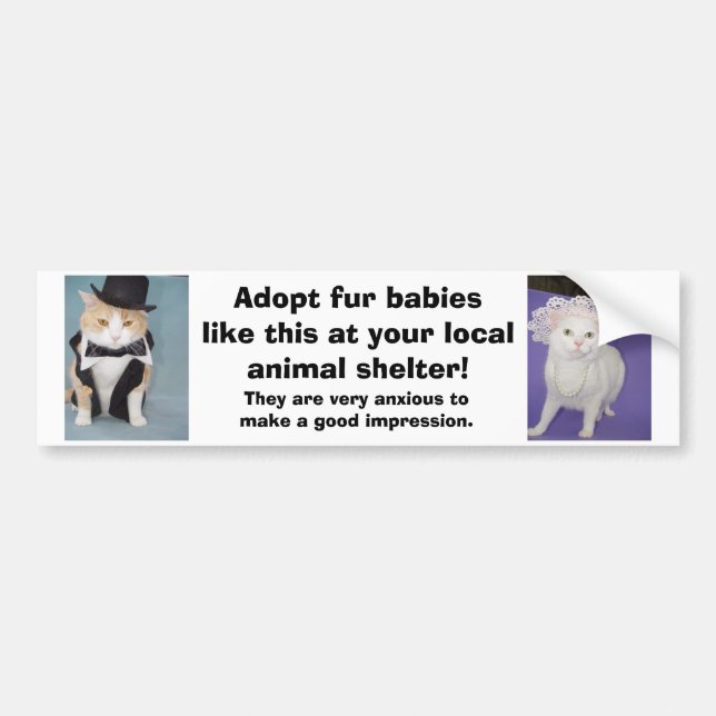 Adoptieren Sie Pelzbabys so an Ihrem lokalen Autoaufkleber (Vorne)