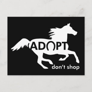 Adoptierend Pferde Postkarte