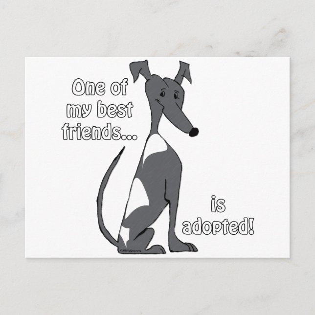 Adoptiert~BlackandWhite Postkarte (Vorderseite)