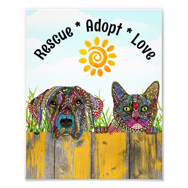 Adoptiert Liebe von Hunden und Katzen Fotodruck (Vorne)