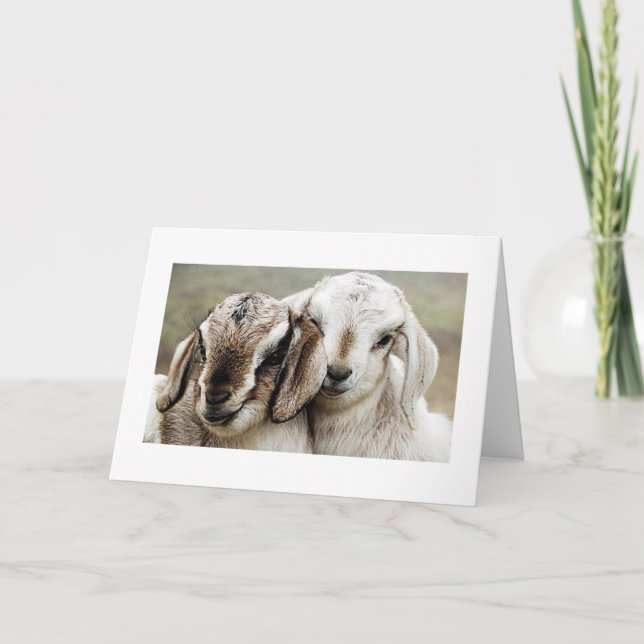 Adoption, adoptier, adoptiert, Fotografie, Karte (Vorderseite)