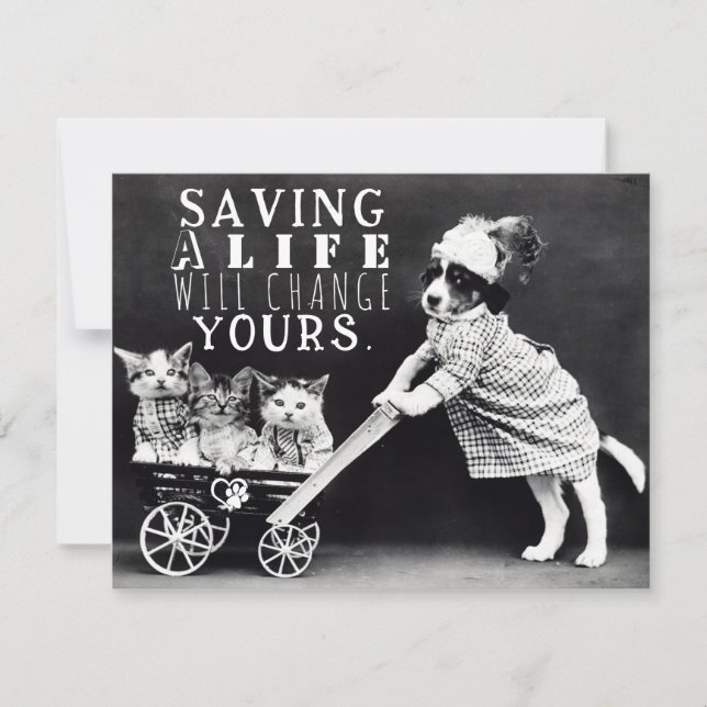 Adoption de chiens et de chats et carte de voeux S (Devant)