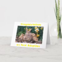 ADOPTION=DIE FAMILIE HAT ZUGENOMMEN/DIE LIEBE HAT