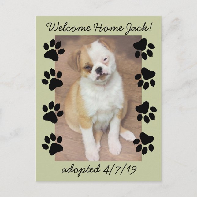 Adoption Save the Date Foto mit Paw Prints Ankündigungspostkarte (Vorderseite)
