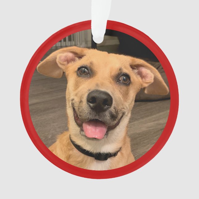 Adoption von Haustieren | Benutzerdefiniertes Foto Ornament (Vorderseite)