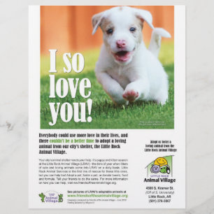 Adoptionsplakat - Little Rock Animal Village Flyer