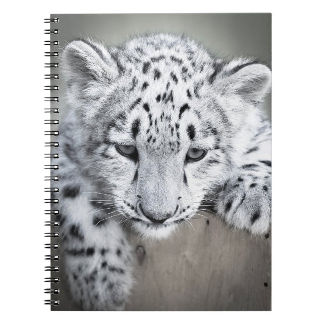 Adorabe Snow Leopard Cub Notebook Notizblock (Vorderseite)