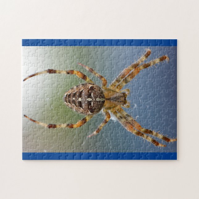 Adorable Arachnid Spider Foto Puzzle (Horizontal)