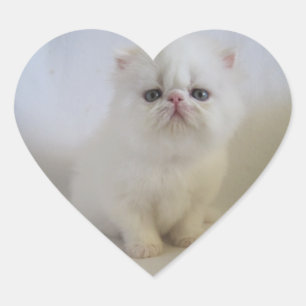 adorable autocollants de coeur perse