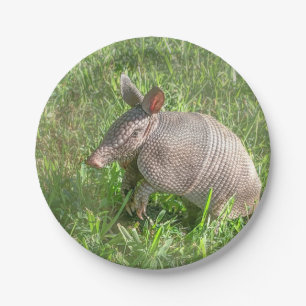 Adorable Baby Armadillo Pappteller