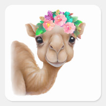 Adorable Baby Camel