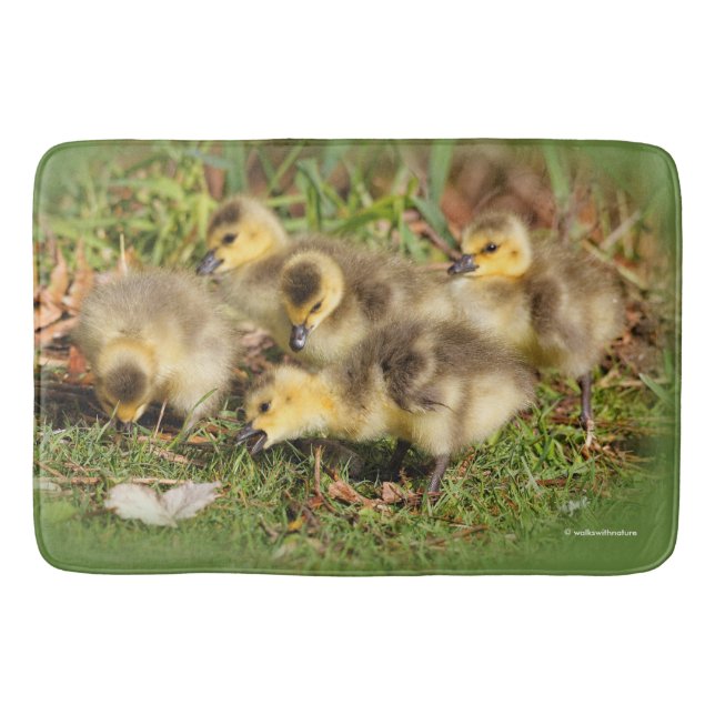Adorable Baby Canada Gänse auf dem Gras Badematte (Vorderseite)