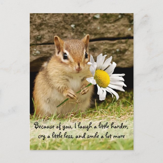 Adorable Baby Chipmunk mit Freundschaftsangebot Postkarte (Vorderseite)