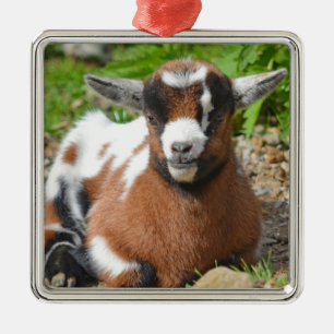 Adorable Baby Goat Kid Ornament Aus Metall