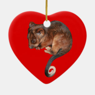 Adorable Baby Ringtail Possum in Australia Keramikornament