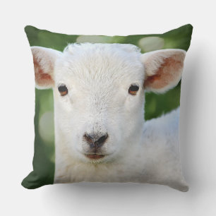 Adorable Baby Sheep Kissen