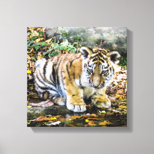 Adorable Baby Tiger Cub Leinwanddruck