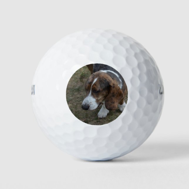 Adorable Basset Hound Golfball (Vorderseite)