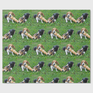 Adorable Beagle Welpen umarmen Krieg Geschenkpapier