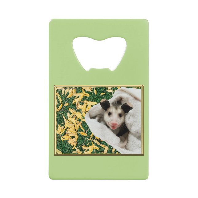 Adorable bébé doux Opossum (Devant)