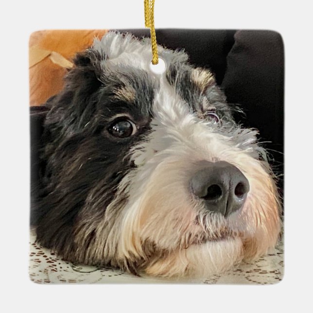 Adorable Bernedoodle Keramikornament (Vorderseite)
