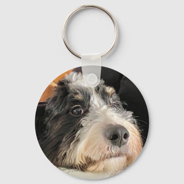 Adorable Bernedoodle Schlüsselanhänger (Vorderseite)