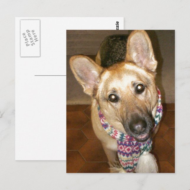 Adorable Black & Tan German Shepherd Postkarte (Vorne/Hinten)