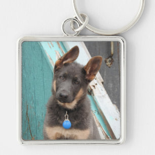 Adorable Blue German Shepherd Puppy Schlüsselanhänger