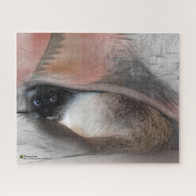 Adorable Blue Mit Augen Siam Kitten Peekout (Horizontal)