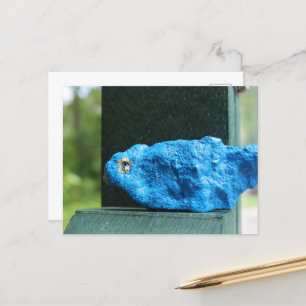 Adorable Bluebird Rock Postkarte