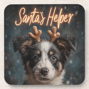 Adorable Border Collie Puppy als Helfer des Weihna Getränkeuntersetzer